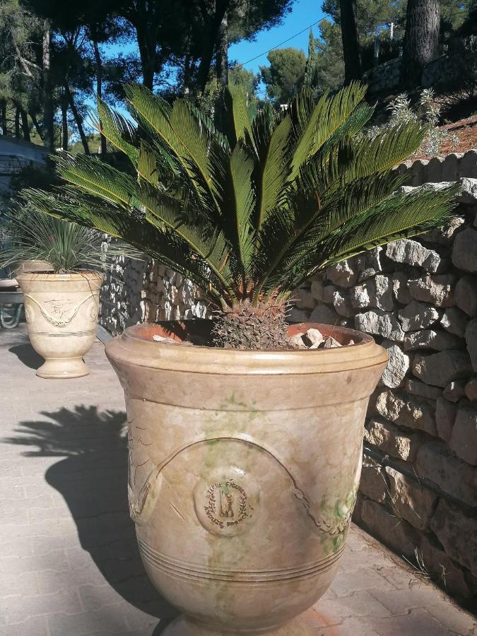 Le Mas des Roches à Velaux Esterno foto