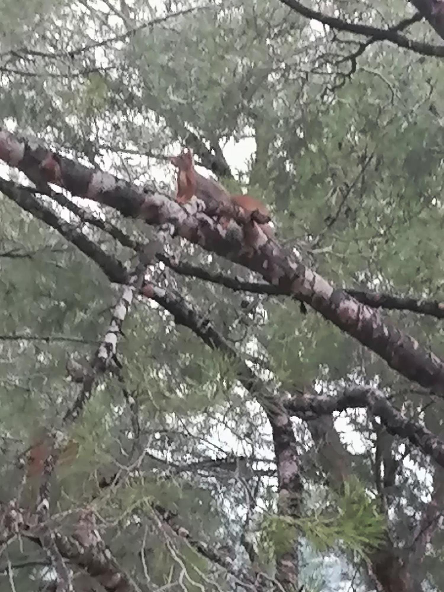 Le Mas des Roches à Velaux Esterno foto